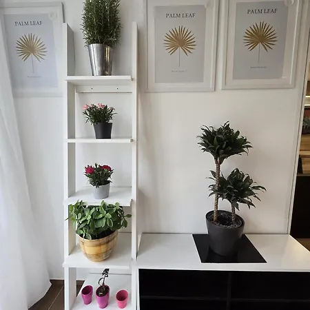 Apartma Blizu Pohorja *